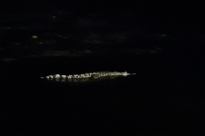 Private Water Village, Proboscis Monkey & Fireflies Tour - A Deep Dive into Brunei’s Water Village and Wildlife Tour