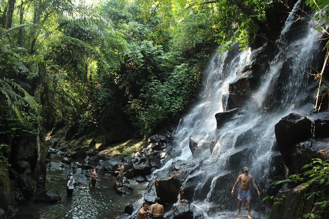 Private Waterfall Tour Feature Tukad Cepung, Tibumana and Kanto Lampo - How the Tour Works: Logistics and Practicalities