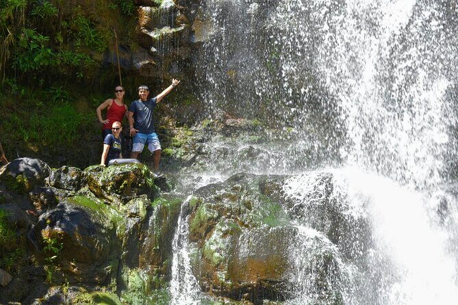 Private Waterfalls Hike and Swim in Lihue - Who Should Consider This Tour?