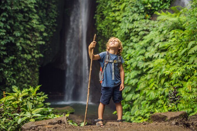 Private Waterfalls Tour in North Bali - Key Points