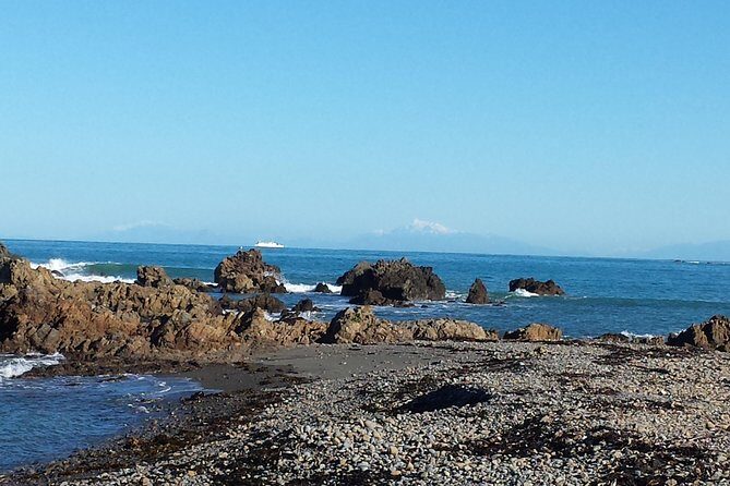 Private Wellington Full Day Sightseeing Tour - Frequently Asked Questions