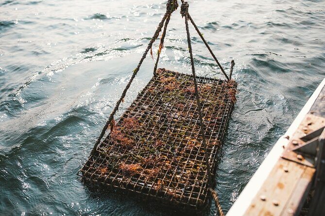 Private West Passage Oyster Tasting Aquaculture Tour - The Itinerary: What to Expect