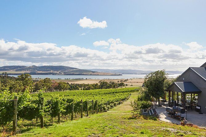 Private West Tamar Wine Tour - Private West Tamar Wine Tour: A Personalized Journey Through Tasmania’s Wine Country