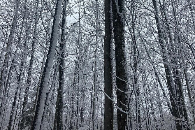 Private Westboro Equine Experience - A Deep Dive into the Private Westboro Equine Experience