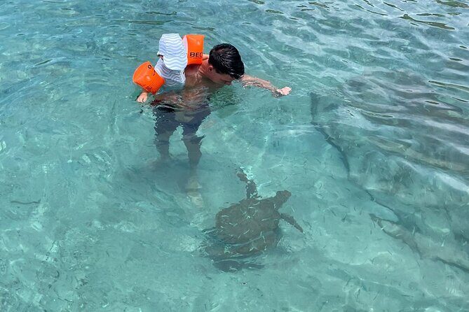 Private Westcoast Beachhop Tour. Turtle beach, grote knip & More - Final Thoughts