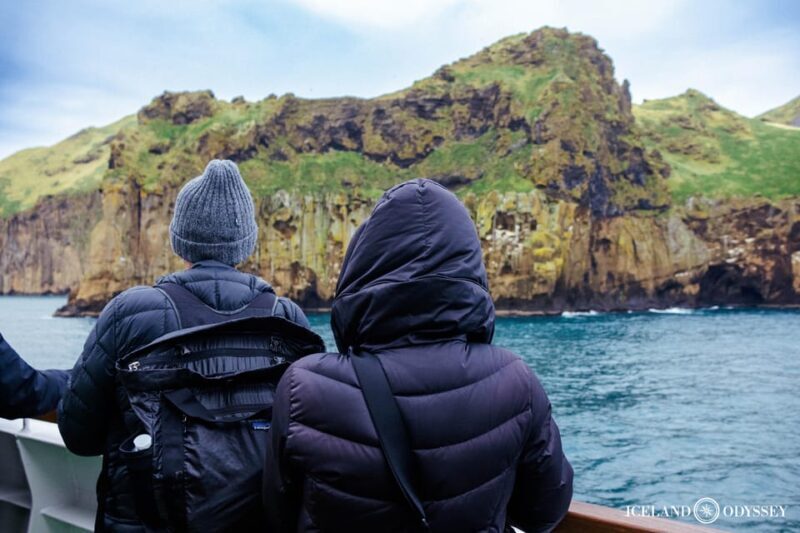 Private Westman Islands with Puffins and Belugas (Up to 8p) - Who Is This Tour Best For?