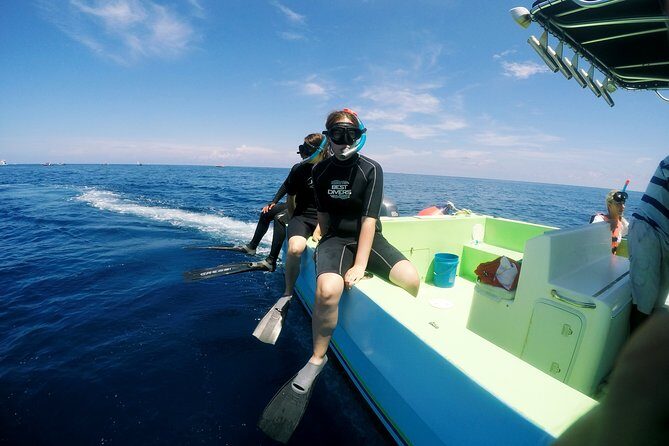 Private Whale Shark All Inclusive Experience - Authentic Experiences and Real Feedback