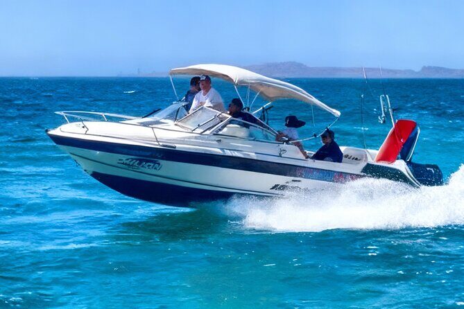 Private Whale Shark Snorkeling Activity in La Paz - Who will love this tour?