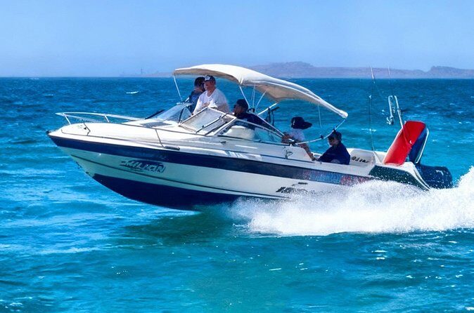 Private Whale Shark Snorkeling Activity in La Paz - Who Should Consider This Tour?