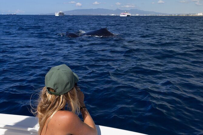 Private Whale Watching Activity - Final Thoughts