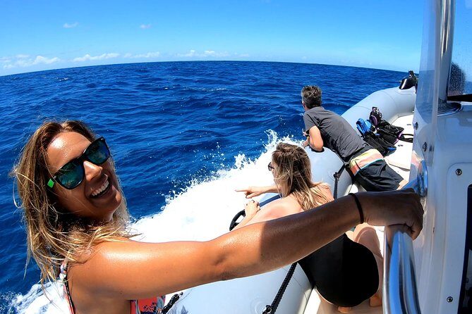 Private Whale Watching Adventure - Private Whale Watching Adventure: A Close Encounter with Hawaii’s Giants