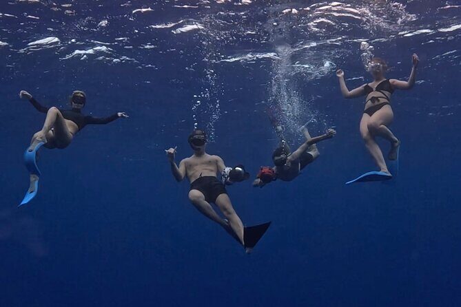 Private Whale Watching Adventure in Mo'orea - What to Expect During the Tour