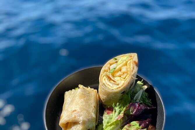 Private Whale Watching in San Jose Del Cabo snack,drinks,Warranty - A Deep Dive into the Whale Watching Adventure