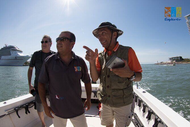 Private Whale watching Puerto Vallarta - An In-Depth Review of the Private Whale Watching Tour