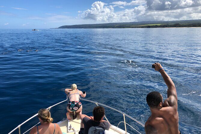 Private Whale Watching Safari from North Shore Oahu - FAQs