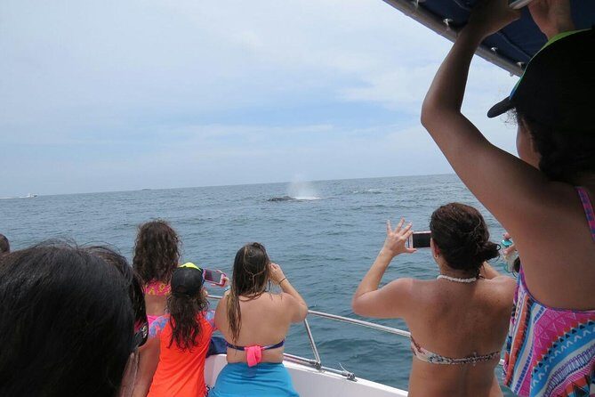 Private Whale Watching Tour  27ft Proline | Pearl Islands - Exploring Panama’s Pearl Islands and Whale Migration