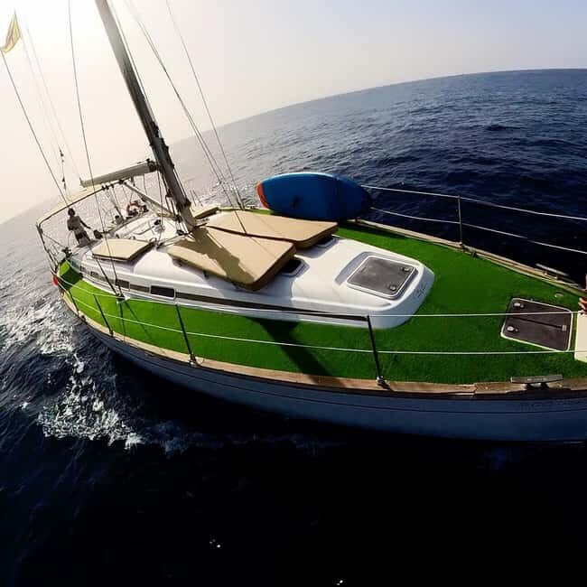 Private Whales & Dolphins Excursion: for you exclusively! - Frequently Asked Questions