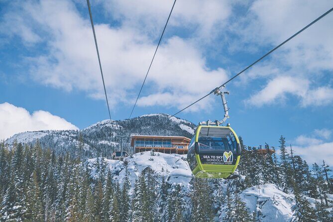 Private Whistler+ Sea 2 Sky Gondola +Shannon Fall+Green Lake Tour - Who Is This Tour Best For?