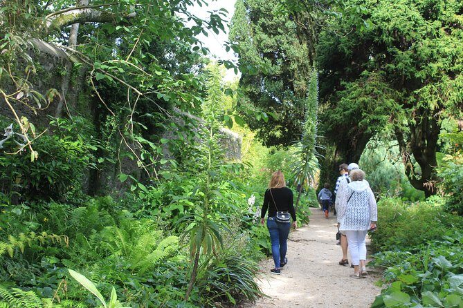 Private Wicklow Mountains Day Tour - Value for Money and Overall Experience