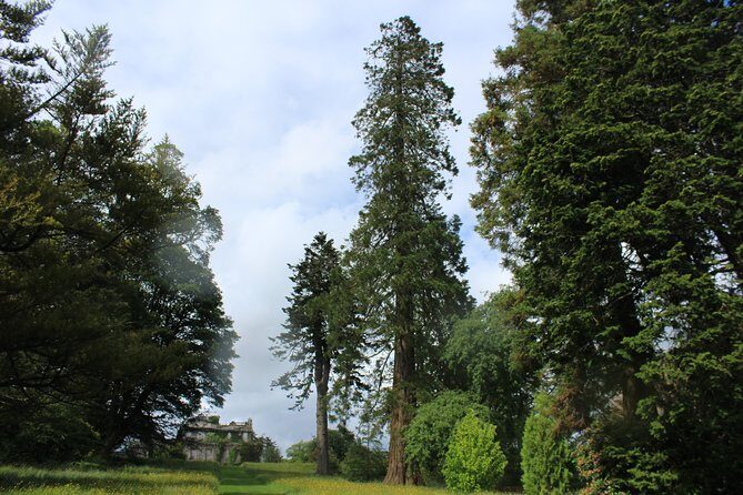Private Wicklow Mountains Day Tour - FAQs