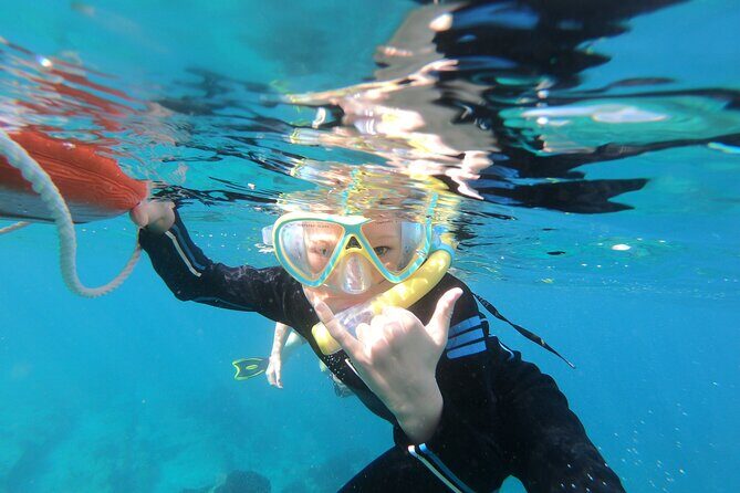 Private Wild Dolphin Encounter Day Trip - What Makes This Tour Stand Out