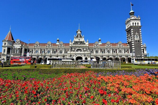 Private Wildlife and Penguin Tour in Dunedin with Ticket - Who Should Book This Tour?