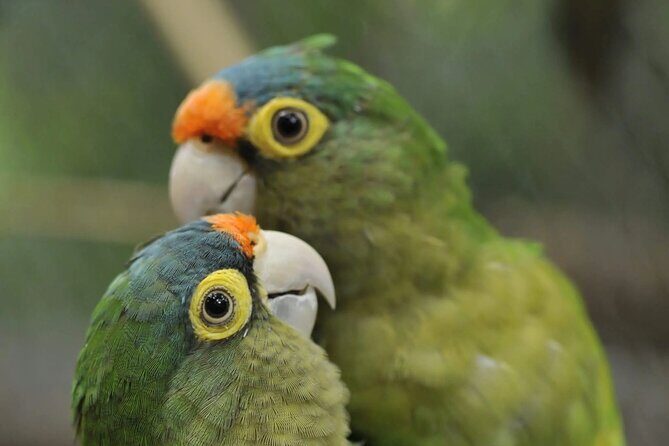 Private Wildlife and Sightseeing Tour to Natuwa Rescue Center - Final Thoughts