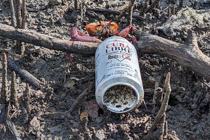 Private Wildlife Tour in Avellanas Beach - FAQ