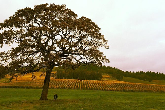 Private - Willamette Valley Wine Tour From Portland (tasting fees included) - The Sum Up