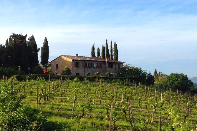 Private Wine and Extra Virgin Olive Oil Tasting - Final Thoughts