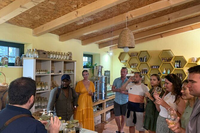 Private Wine and Gin Tour Around the Island of Korcula - Exploring Korcula’s Wine and Spirit Heritage