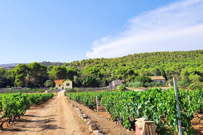 Private Wine and Gin Tour Around the Island of Korcula - FAQs