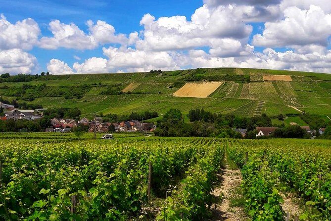 Private wine & cheese tour to Sancerre vineyards from Paris - FAQ