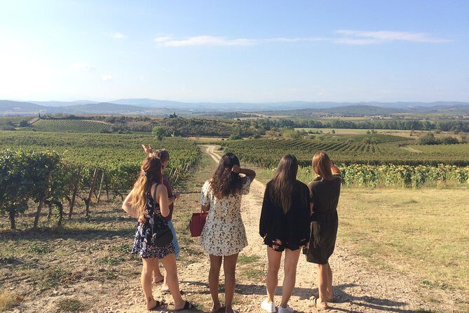 Private Wine day tour from Carcassonne and around. - Exploring the Itinerary in Detail