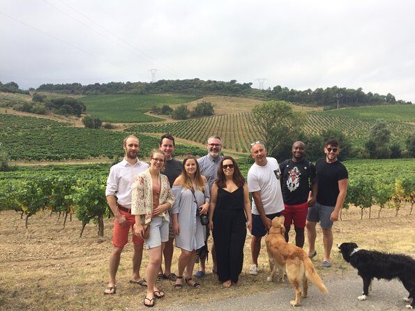 Private Wine day tour from Carcassonne and around. - FAQ
