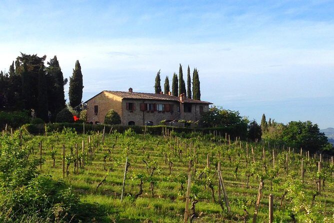 Private Wine & Evo Oil Tasting with Saffron Meal - Exploring the Details of the Tour