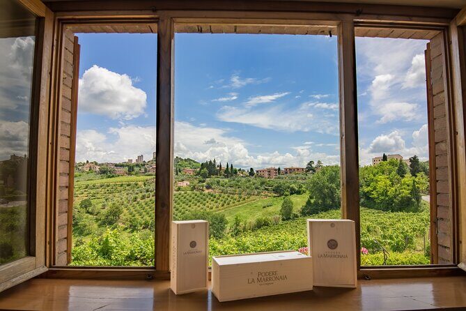 Private Wine & Evo oil tasting with Truffle Meal - The Sum Up