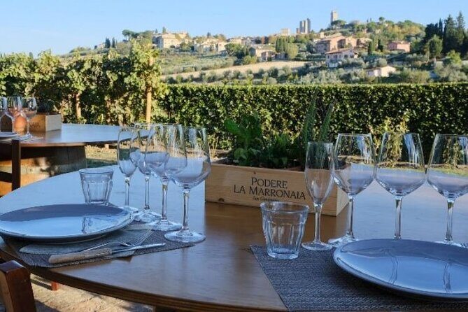Private wine & EVO Oil Tasting with Tuscan Meal - Practical Details and Tips