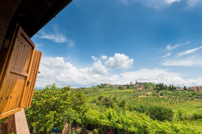 Private wine & EVO Oil Tasting with Tuscan Meal - Frequently Asked Questions