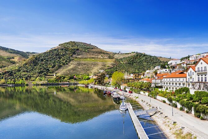 Private Wine & Food Tour in Douro - The Transport & Logistics: Comfort and Convenience