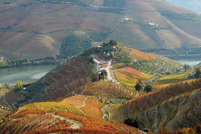 Private Wine & Food Tour in Douro - FAQ
