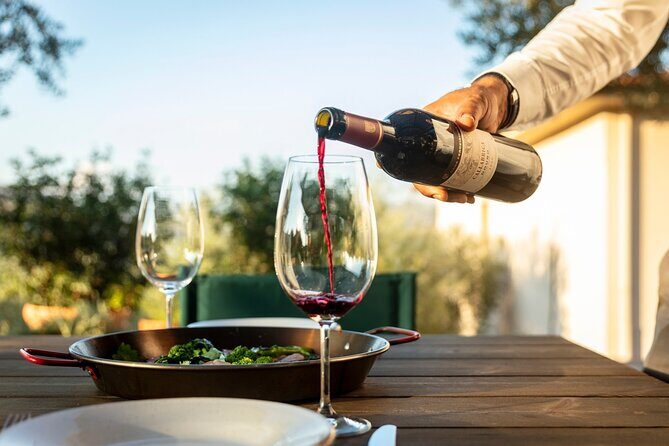 Private Wine & Food Tour in Douro - Final Thoughts