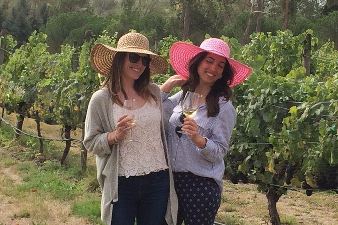 Private Wine Gourmet and Scenic Delights Tour from Picton - FAQ