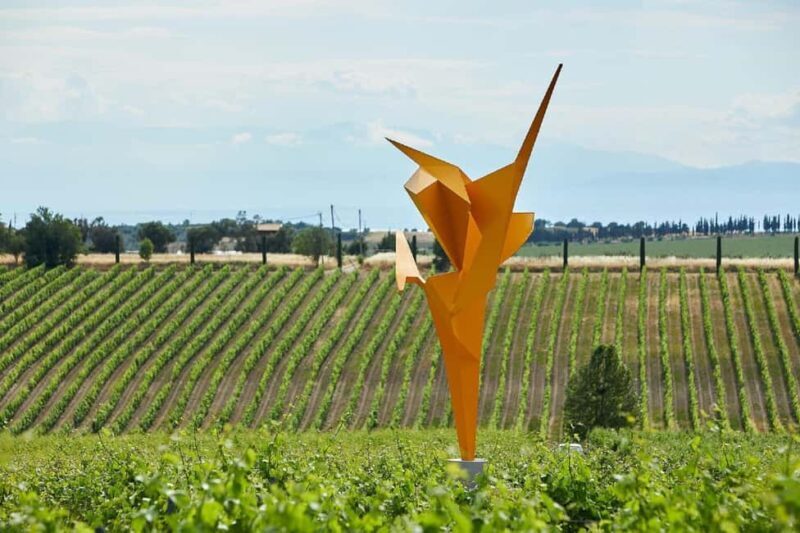 Private Wine & Museum Tour at Gerovassiliou Winery - In-Depth Review of the Gerovassiliou Winery Private Tour