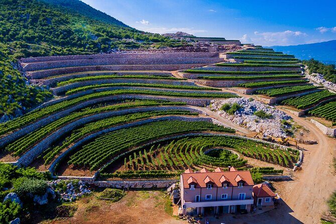 Private Wine Tasting Activity at Lipovac Winery - Discover Montenegro’s Largest Private Winery: Lipovac Winery