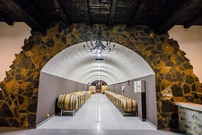 Private Wine Tasting Activity at Lipovac Winery - What Travelers Are Saying