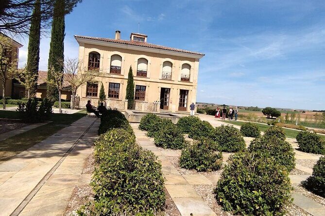 Private Wine Tasting And Visit Tour in Ribera Duero - The Culinary Element: Lunch and Local Flavors