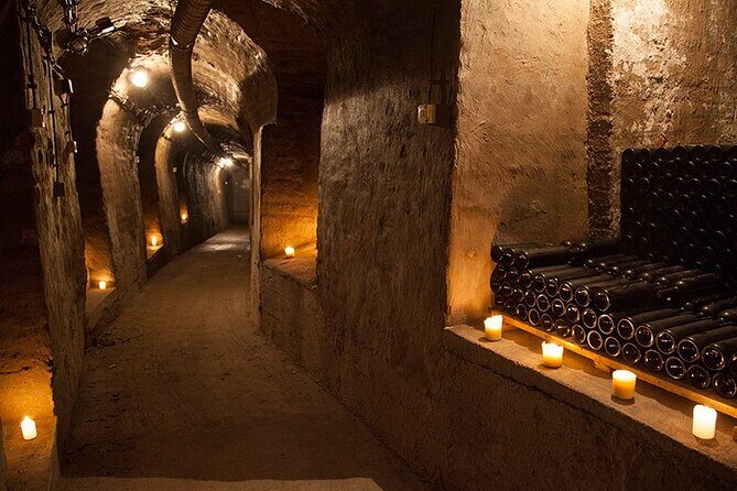 Private Wine Tasting by Party in Belgrade - An Honest Look at the Belgrade Private Wine Tasting Experience