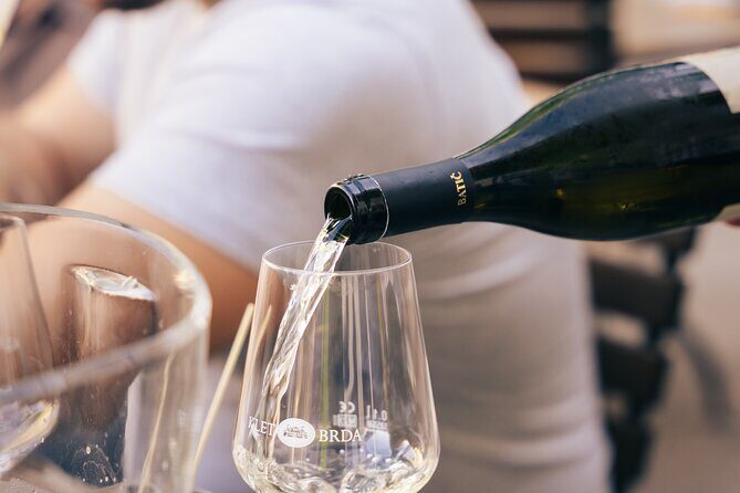 Private Wine Tasting Experience in Ljubljana - Private Wine Tasting Experience in Ljubljana: A Genuine Taste of Slovenia’s Indigenous Grapes