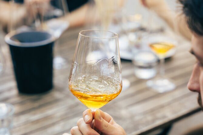 Private Wine Tasting Experience in Ljubljana - An Authentic Slovenian Wine Experience in Ljubljana